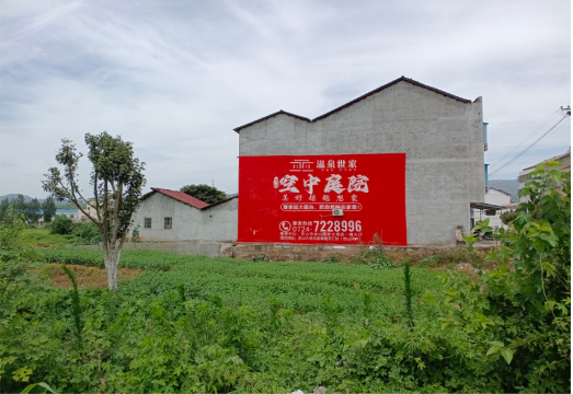 巴塘做墙体广告的意义